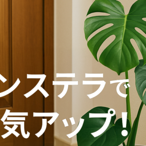 モンステラで運気アップ