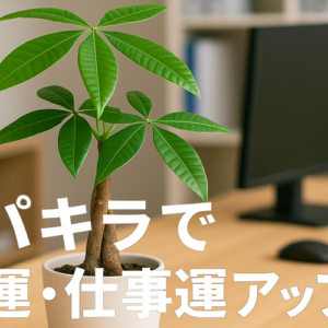パキラで金運・仕事運アップ